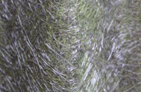 Wrightington Bar fibreglass roof work